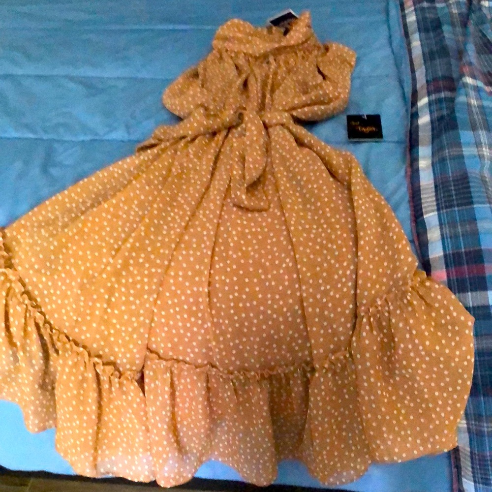 NWT,Just Taylor. beautiful sleevesless poka dot dress,NEW. Fully lined,Polyester